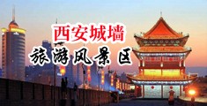 鸡巴插入逼视频免费中国陕西-西安城墙旅游风景区