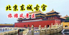 JK美女被干中国北京-东城古宫旅游风景区